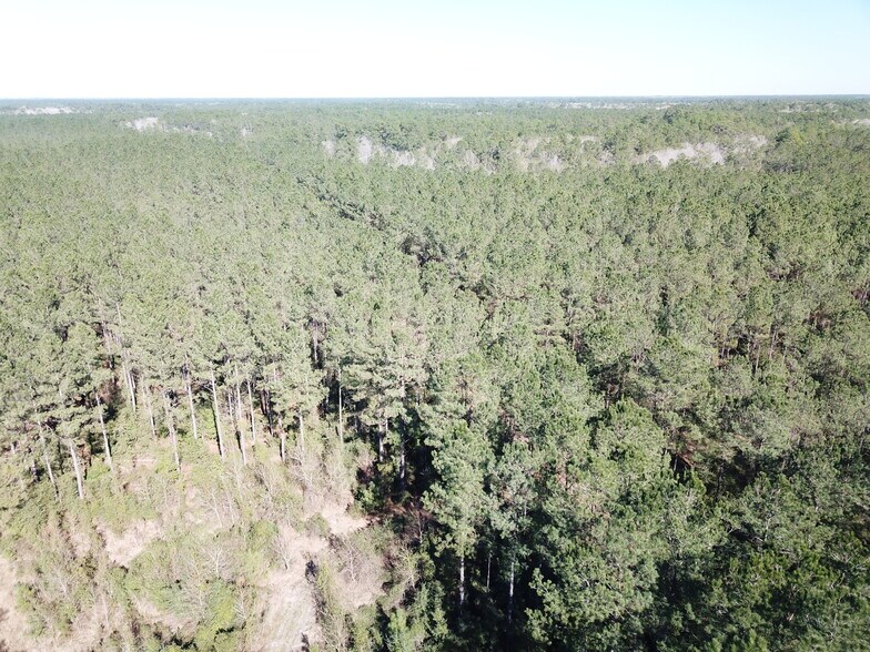 More Photos Of Corrigan Road, Vidor Land For Sale