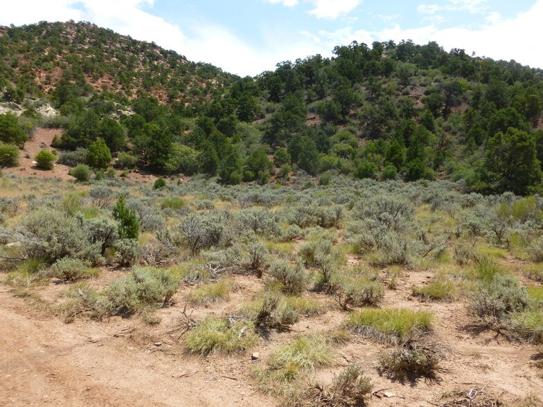 More Photos Of 680 SO Hwy, Cedar City Land For Sale
