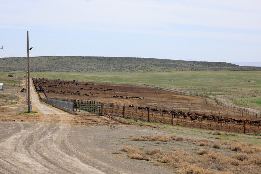 More Photos Of , Burns Land For Sale