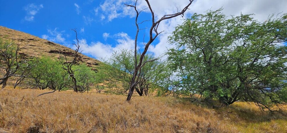 More Photos Of 87-472 Hakimo Rd, Waianae Land For Sale