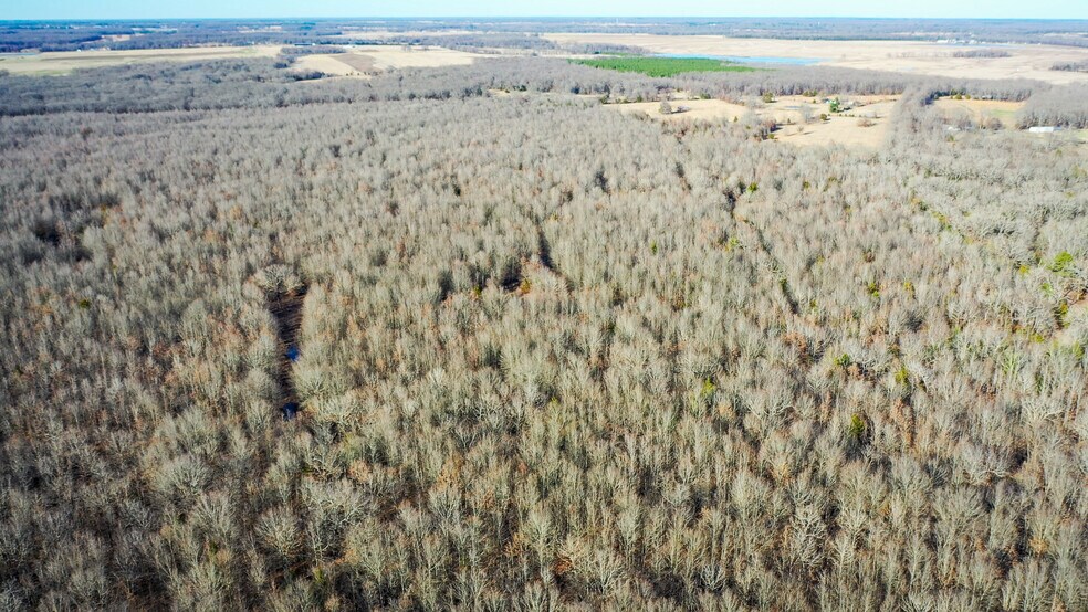 More Photos Of 1200 County 1255 rd, Detroit Land For Sale