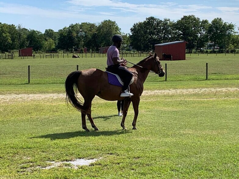 More Photos Of 207 Magnolia Rd, Pemberton Land For Sale