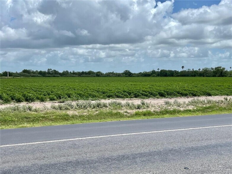 Primary Photo Of Military Hwy., Progreso Land For Sale