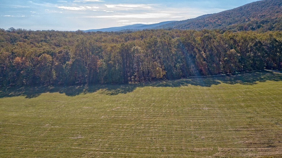 More Photos Of Quarter Branch Rd, Lovettsville Land For Sale