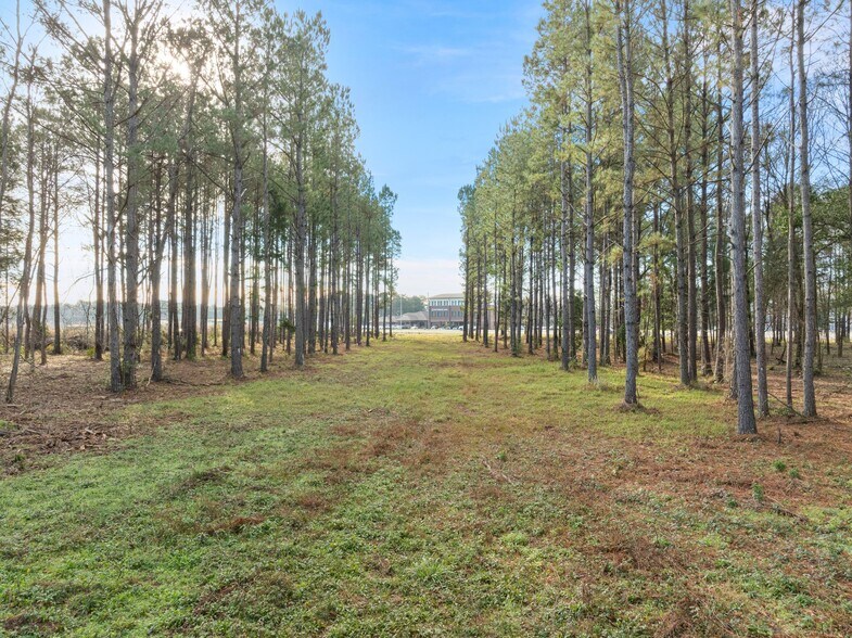 More Photos Of 1115 Evelyn Gandy Pky, Petal Land For Sale