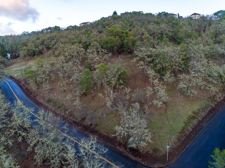 More Photos Of NE Beulah Dr, Roseburg Land For Sale