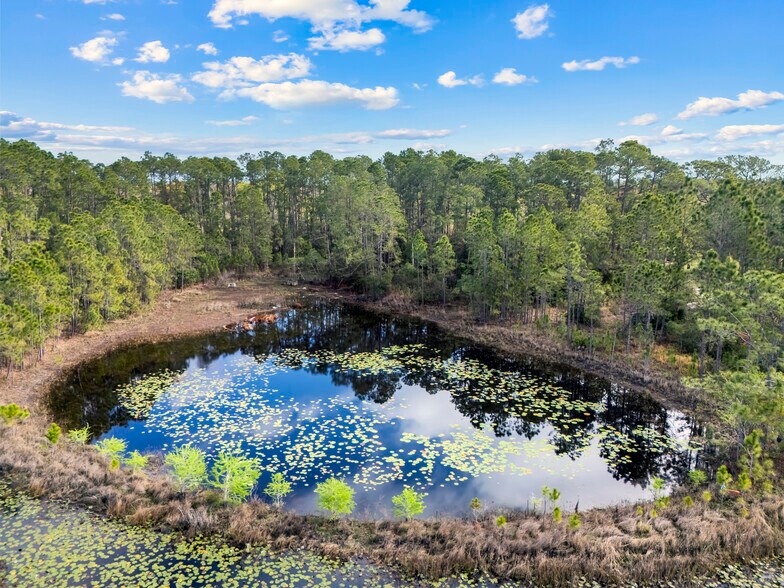 More Photos Of 10320 Von Frankenstein Ct, Howey in the Hills Land For Sale