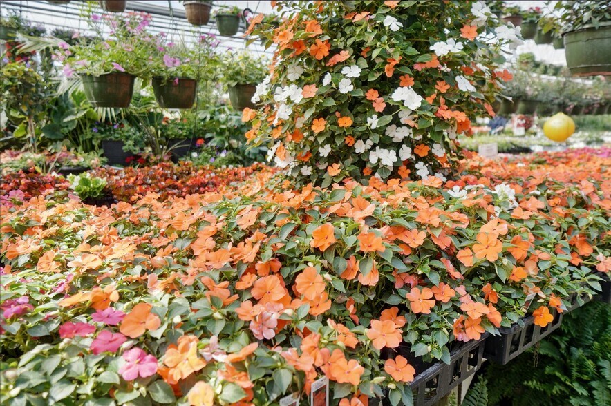 More Photos Of 1056 US-68, Xenia Garden Center For Sale
