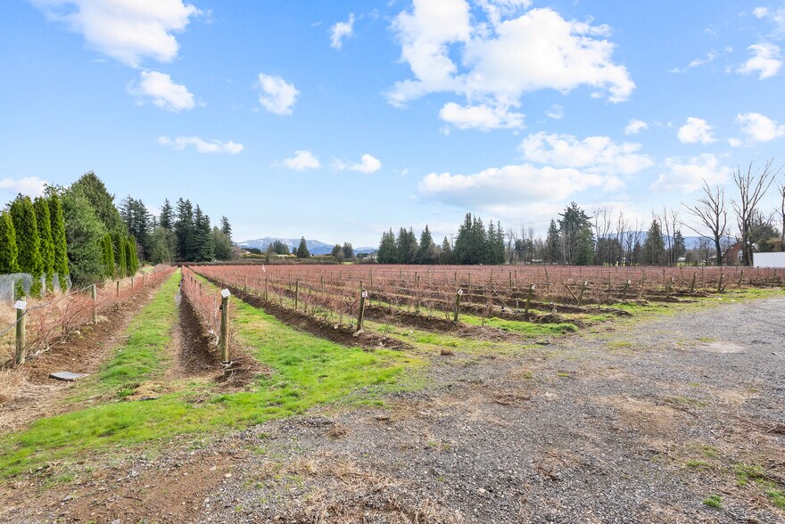 More Photos Of 1264 Mccallum Rd, Abbotsford Land For Sale