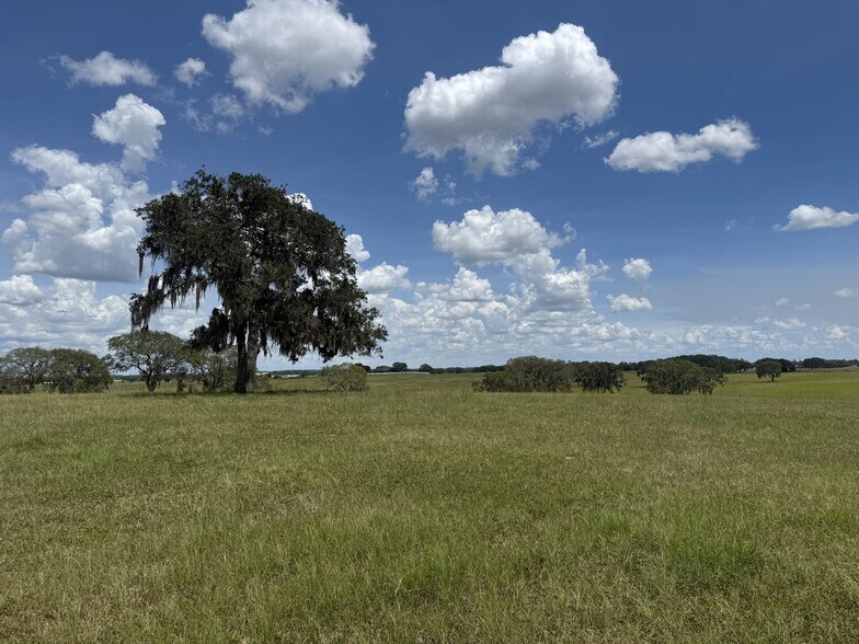 More Photos Of 0 W Highway 328, Dunnellon Land For Sale