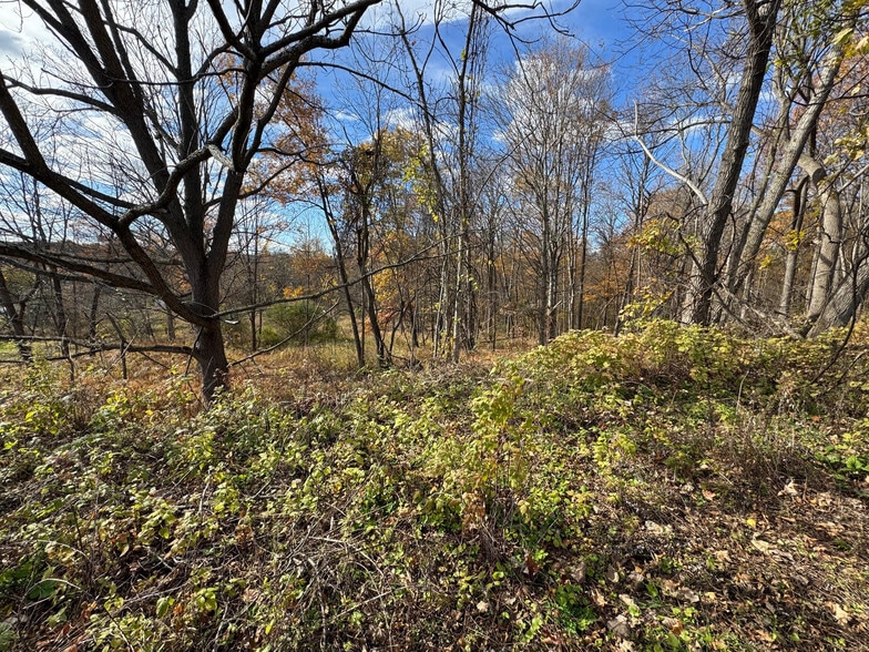 More Photos Of Silver Stream Rd Rd, New Windsor Township Land For Sale