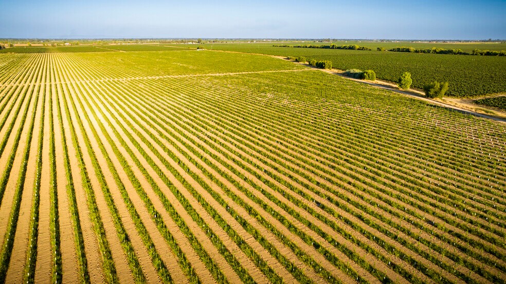 More Photos Of TFC Ranch, Lodi Land For Sale