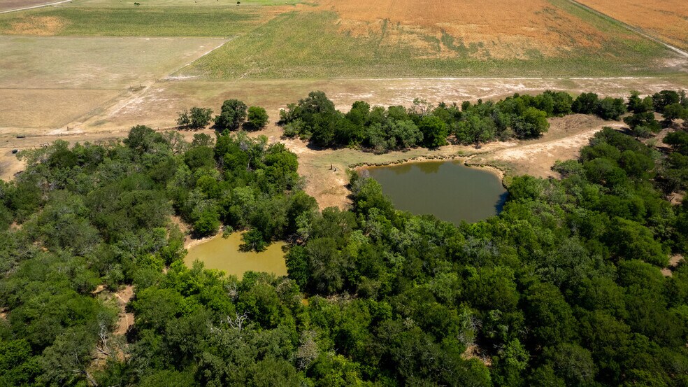 More Photos Of 2565 County Road 442, Thorndale Land For Sale