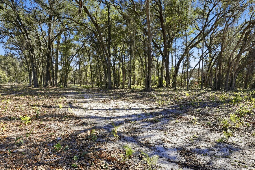 More Photos Of US 19 N Highway, Fanning Springs Land For Sale