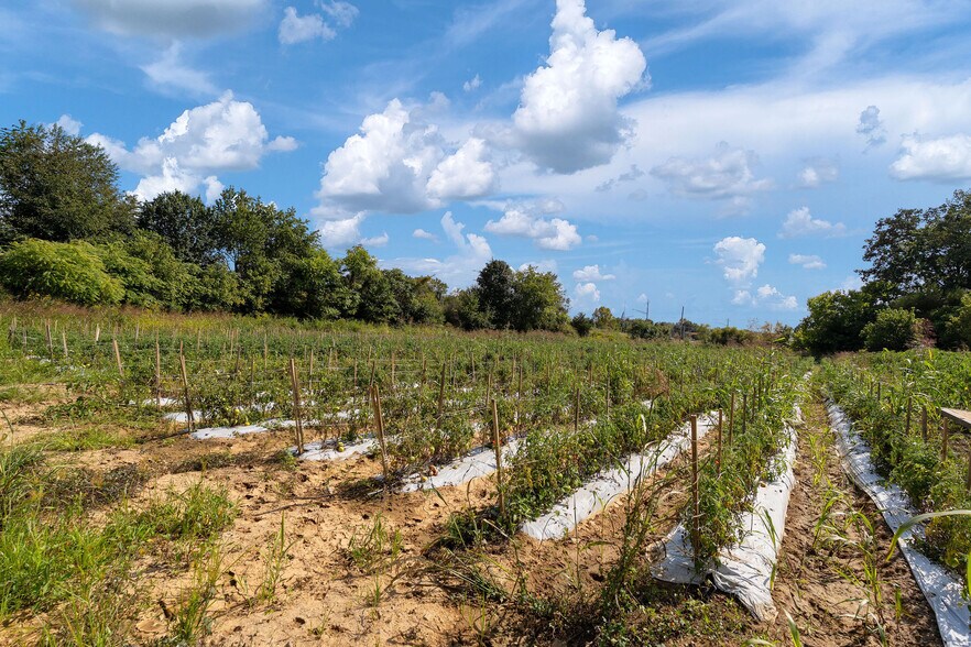 More Photos Of 370 Roy Martin, Johnson City Land For Sale