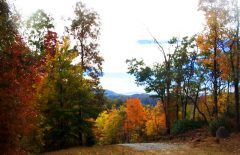 More Photos Of 850 Bluff Rd, Marble Land For Sale