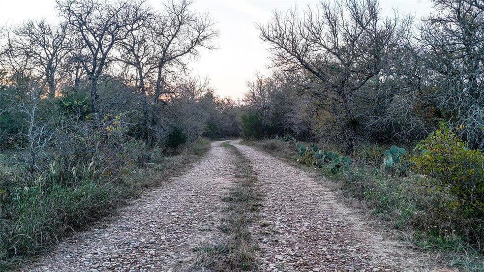 Primary Photo Of 137 Shady Oaks Loop, Cedar Creek Land For Sale