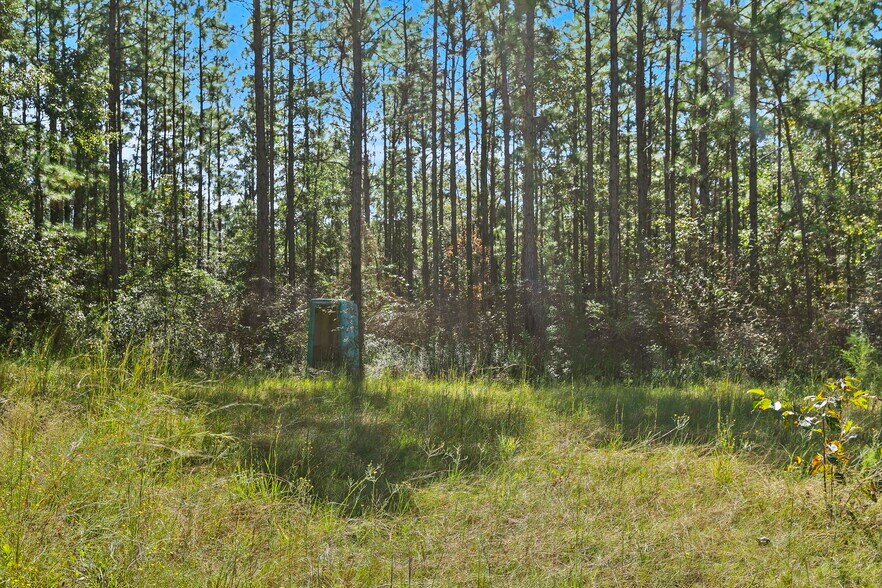More Photos Of 0 Nokomis Road, Walnut Hill Land For Sale
