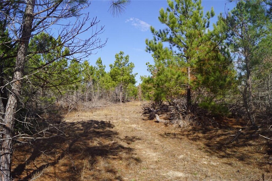 More Photos Of 488 Kelley Rd, Bastrop Land For Sale