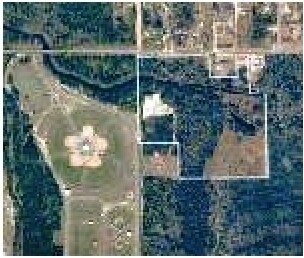Primary Photo Of 8810 John Pitts Rd, Panama City Land For Sale