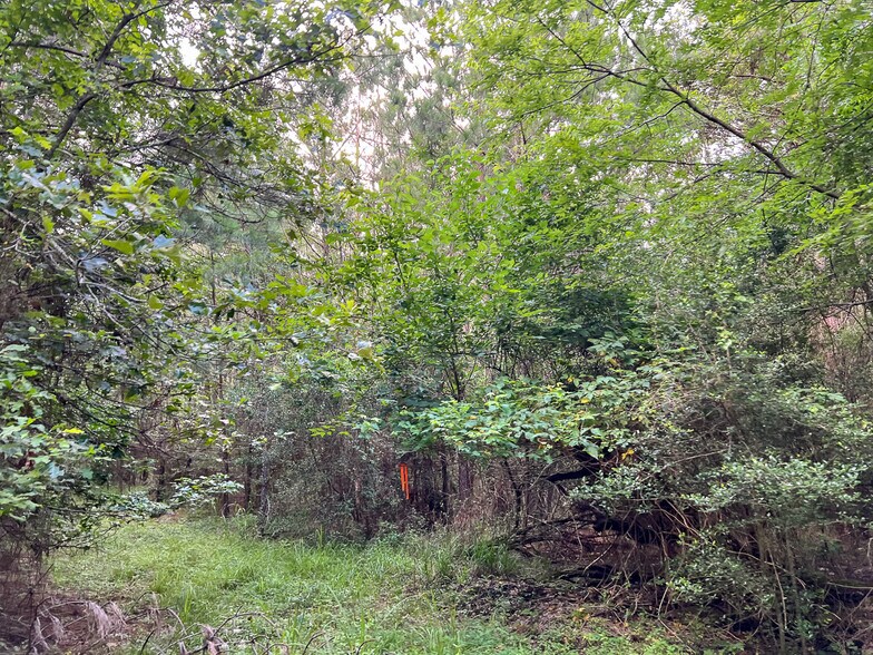 More Photos Of 00 FM 2793, New Waverly Land For Sale