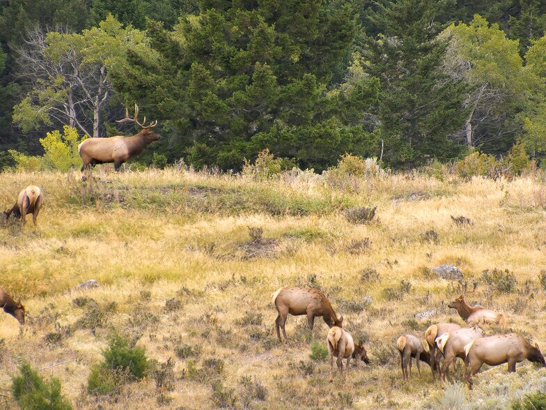 More Photos Of 1111 Moonrise Way, West Yellowstone Land For Sale