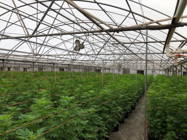 More Photos Of 900 N Taft Hill Rd, Fort Collins Showroom For Lease