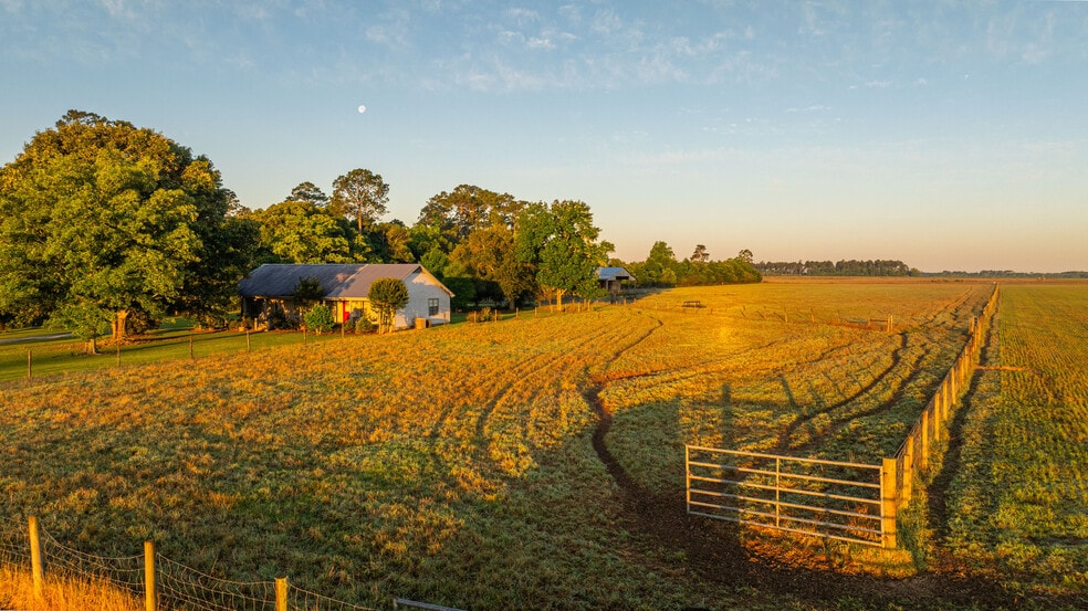 More Photos Of 24795 County Road 32, Elberta Land For Sale