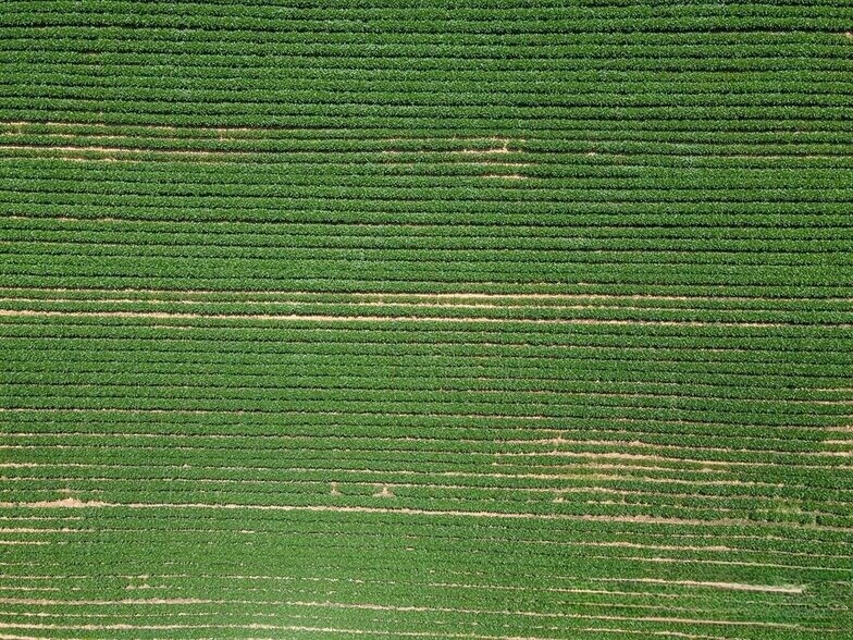 More Photos Of 99999 Boylston Hwy, Mills River Land For Sale