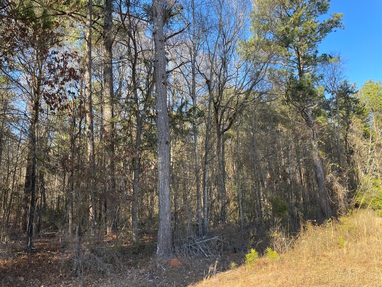 More Photos Of 0 S. Hwy 81, Covington Land For Sale