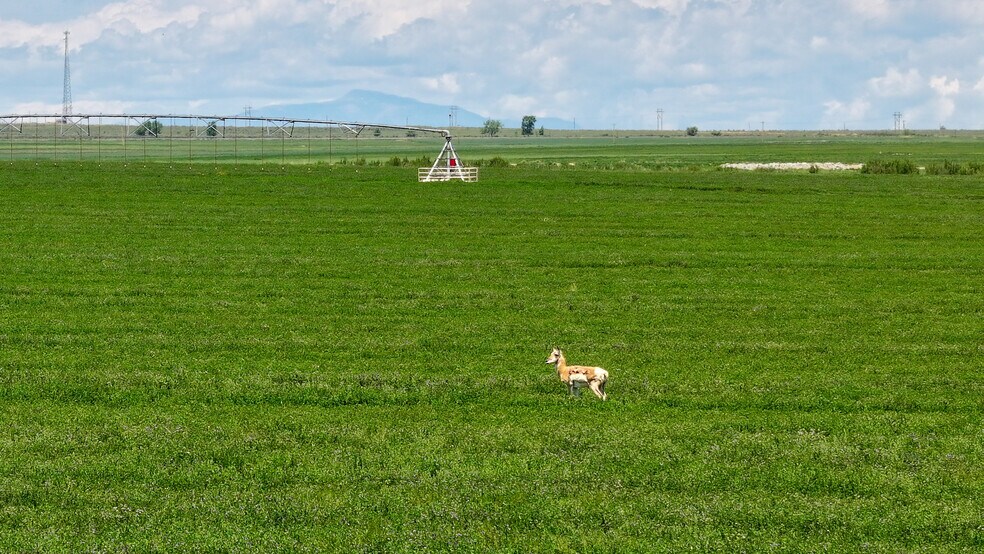 More Photos Of 48999 County Road 48, Model Land For Sale