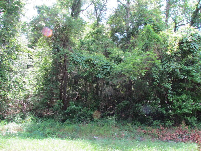 More Photos Of 214 Seabrook, Seabrook Land For Sale