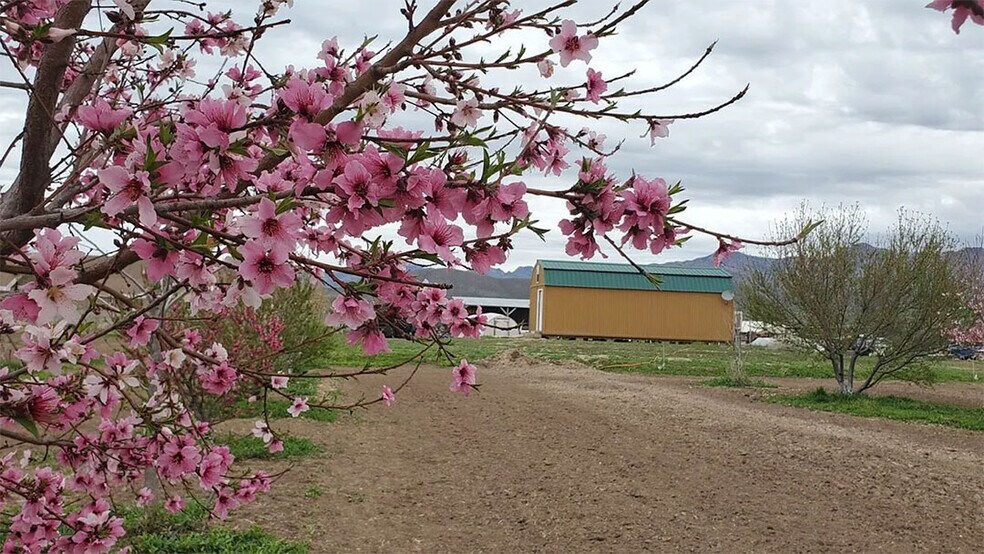 More Photos Of 13915 US 70, Fort Thomas Land For Sale