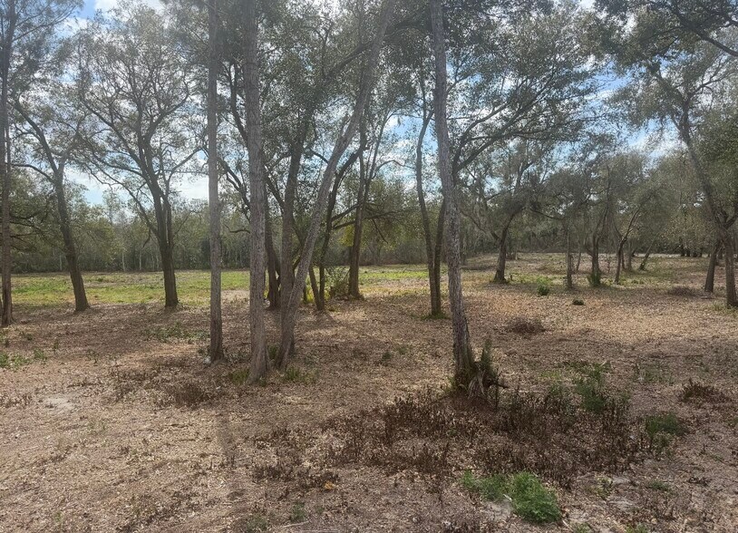 More Photos Of Tropic Street, Titusville Land For Sale