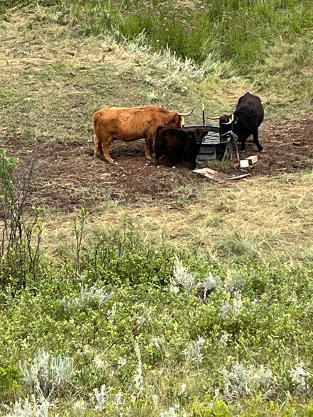 More Photos Of 10 Painted Hills Dr, Sheridan Land For Sale
