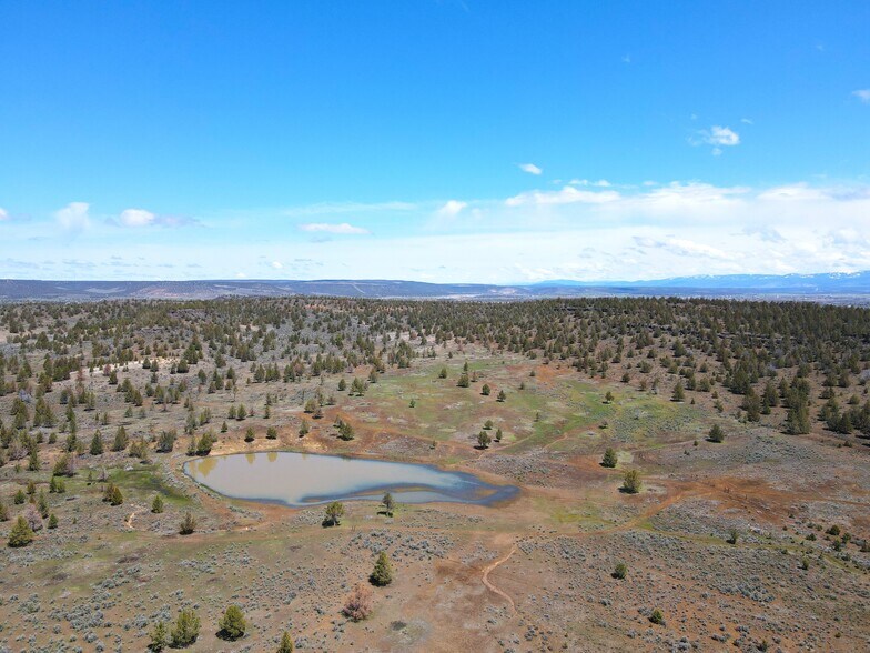 More Photos Of 3234 County Road 75, Alturas Land For Sale