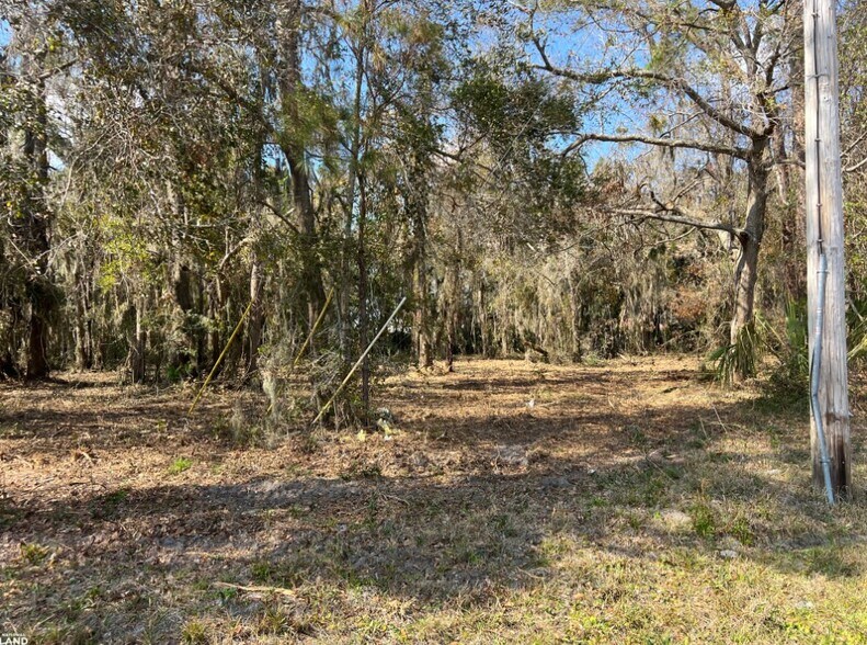 More Photos Of 3855 Darien Hwy, Brunswick Land For Sale