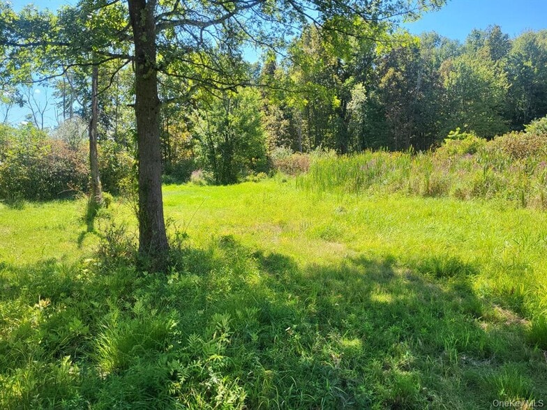 More Photos Of 328 Bloomingburg Rd, Middletown Land For Sale