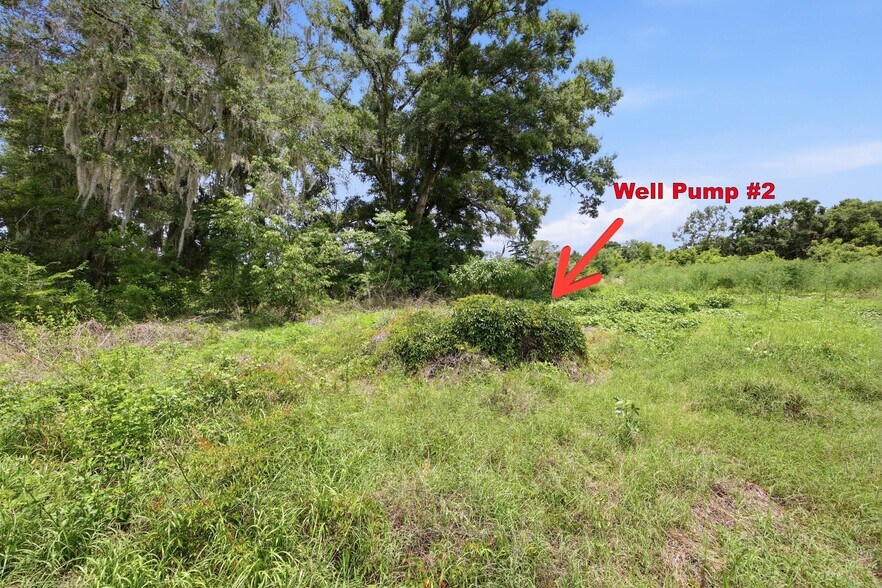 More Photos Of 12630 SE US Highway 441, Belleview Land For Sale