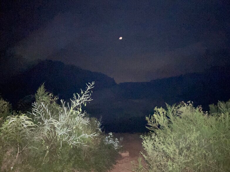 More Photos Of 00 Bull Branch, Coffee Springs Land For Sale