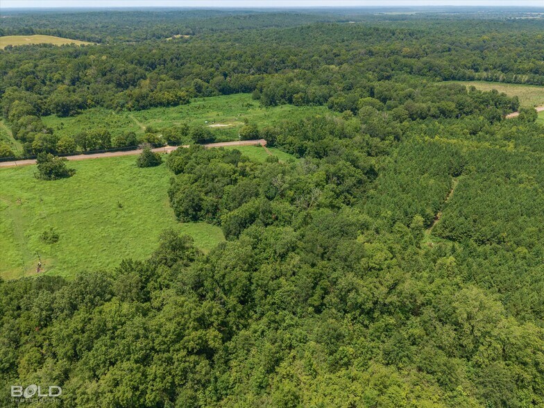 More Photos Of 11661 Gamm rd, Belcher Land For Sale