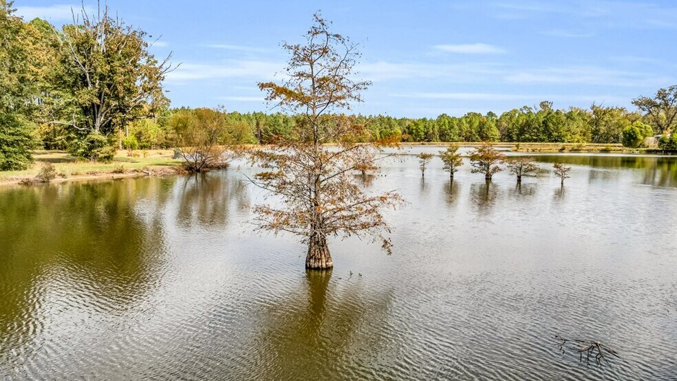 More Photos Of 5497 MS-12 Hwy, Sturgis Land For Sale