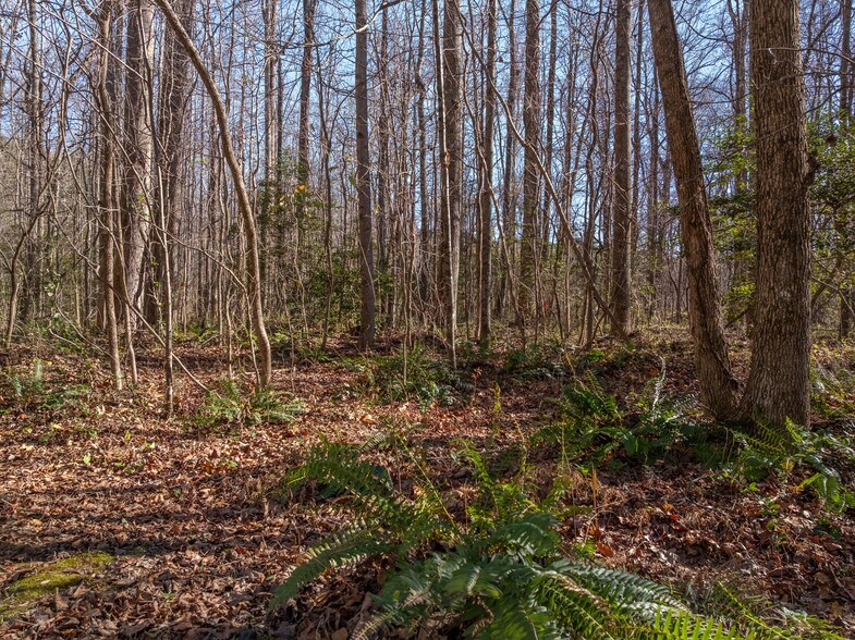More Photos Of 00 Pittman Rd, Landrum Land For Sale