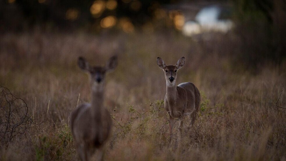 More Photos Of 917 Bear Springs rd, Mason Land For Sale