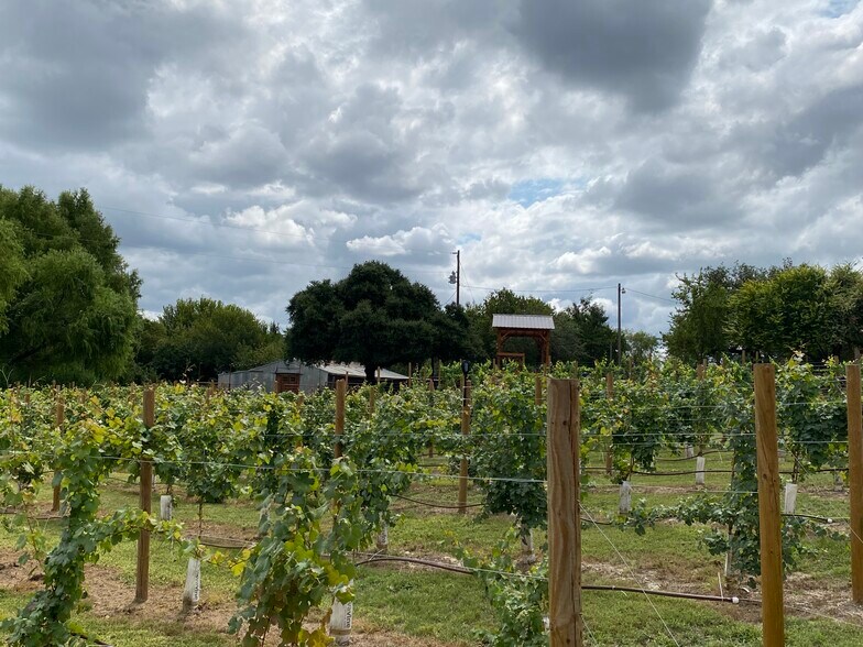 More Photos Of 10238 FM 1886, Azle Winery Vineyard For Sale