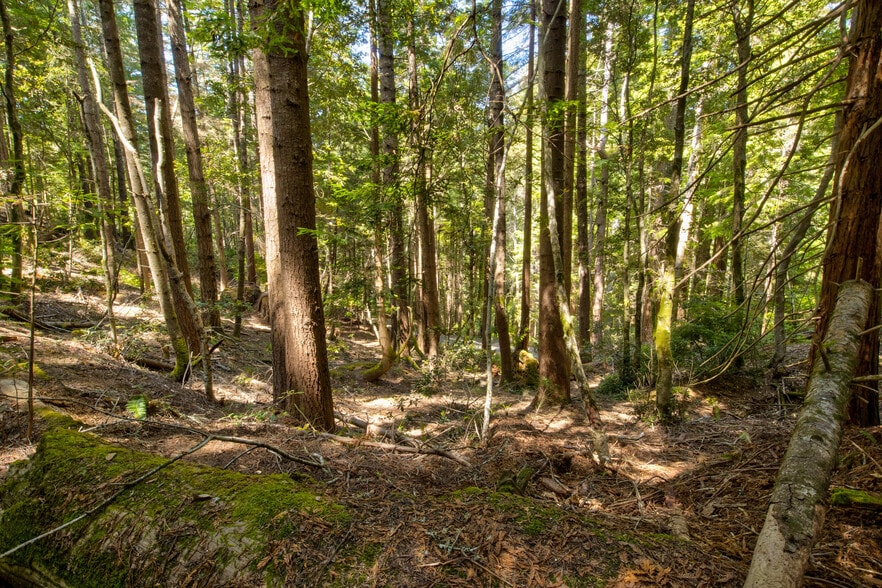 More Photos Of 33170 Frog Pond rd, Little River Land For Sale