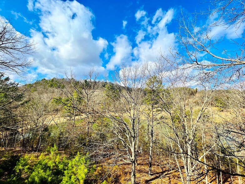 More Photos Of 3134 E Van Buren, Eureka Springs Hotel For Sale