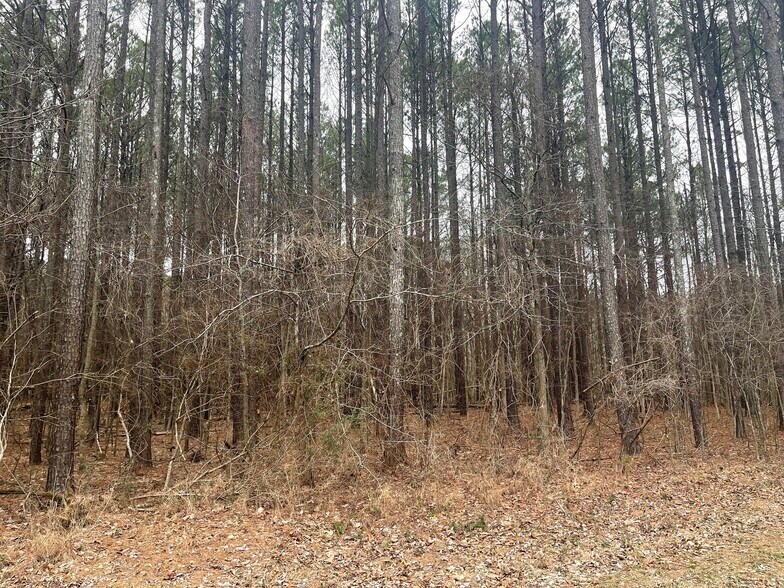 More Photos Of 0 Hwy 70 & Browns Church Road hwy, Jackson Land For Sale