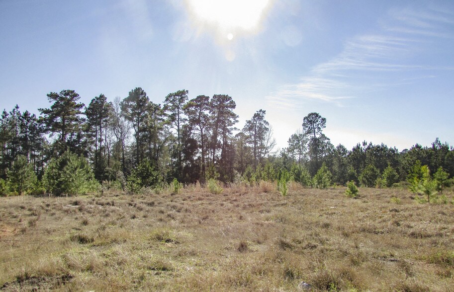 More Photos Of 1.99 Ac I-45 Service Rd, Huntsville Land For Sale