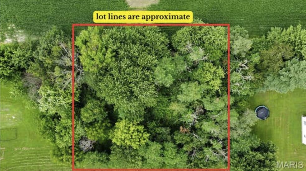 More Photos Of 000 Fellin Drive, Mount Olive Land For Sale